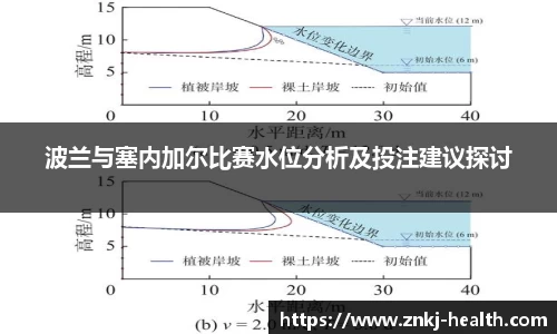 波兰与塞内加尔比赛水位分析及投注建议探讨